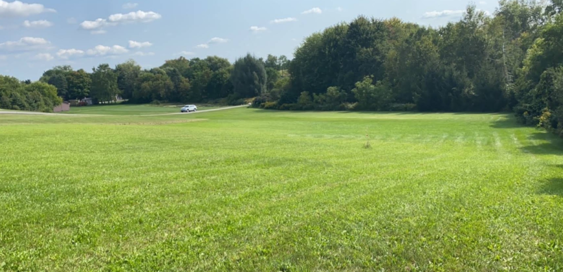 Professional lawn care service in Brantford showing pristine grass cutting with mowing stripes